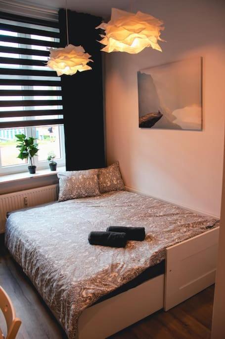 *Apartamenty Kattowitz 12 외부 사진